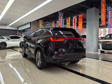 Recon Lexus NX 250 2.5 Version L M/Levinson