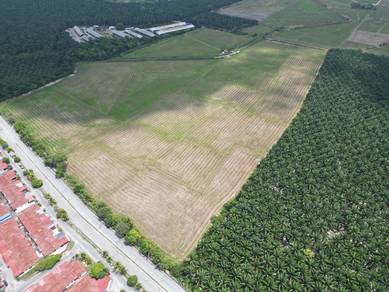 Agricultural-Land-for-sale-Bedong-Kedah