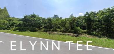 Agricultural-Land-for-sale-Kulim-Kedah-1