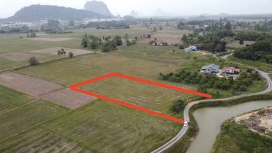 Agricultural-Land-for-sale-Kangar-Perlis