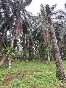 Industrial-Land-for-sale-Ipoh-Perak-3