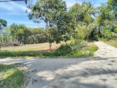 Agricultural-Land-for-sale-Kuala-Ketil-Kedah