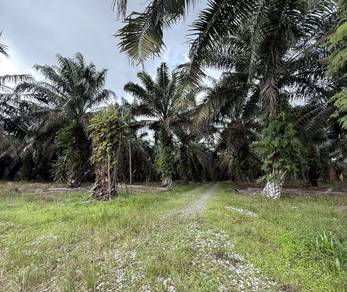 Senai Seelong Industrial Zoning 7 Acre Land with Reserved Road