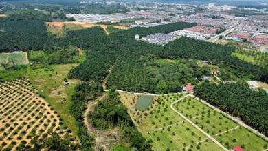 Kota Tinggi 3.5 Acre Durian Farm Residential Zoning Rm6.8 psf