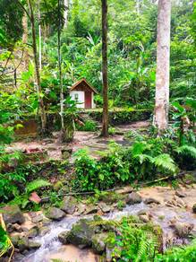 Agricultural-Land-for-sale-Sungai-Penchala-Kuala-Lumpur