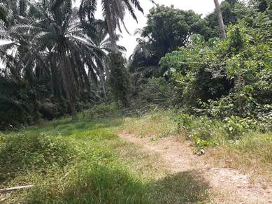 Agricultural-Land-for-sale-Kuala-Pilah-Negeri-Sembilan