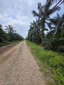 Agricultural-Land-for-sale-Jeram-Selangor