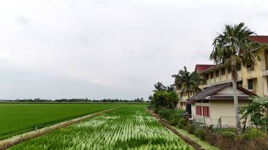 Agricultural-Land-for-sale-Tanjong-Karang-Selangor