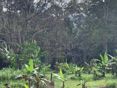 Agricultural-Land-for-sale-Ara-Damansara-Selangor