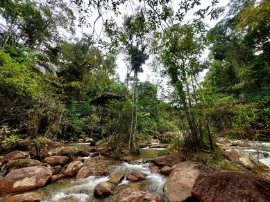 Agricultural-Land-for-sale-Raub-Pahang