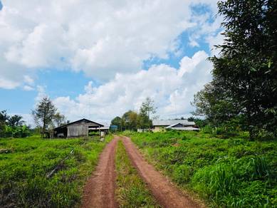 Durian Farm Kg. KwangTung Chaah Labis