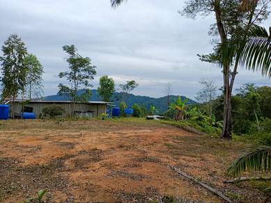 Agricultural-Land-for-sale-Kota-Kinabalu-Sabah