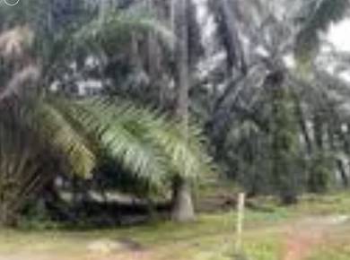 3 Acres Jalan Paip , Meru , Desa Bukit Nilam Klang Agriculture Land