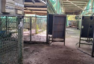 Agricultural-Land-for-rent-Senai-Johor