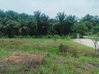 Agricultural-Land-for-rent-Lenggeng-Negeri-Sembilan