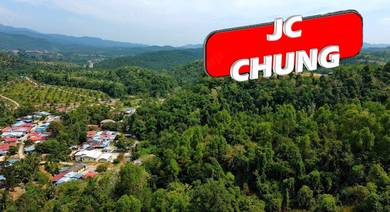 Agricultural-Land-for-sale-Kulim-Kedah