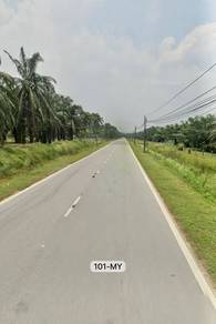 Agricultural-Land-for-sale-Kapar-Selangor