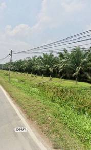 Agricultural-Land-for-sale-Kapar-Selangor-1