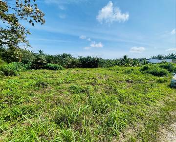 Residential-Land-for-sale-Pontian-Johor