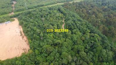 Agricultural-Land-for-sale-Kuala-Selangor-Selangor