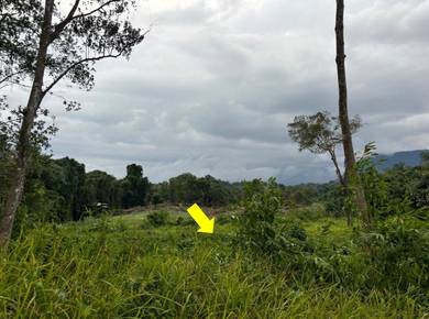 Agricultural-Land-for-sale-Kuching-Sarawak