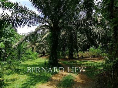 Agricultural-Land-for-sale-Tasek-Gelugor-Penang