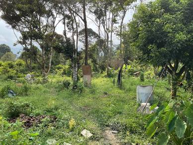 Agricultural-Land-for-sale-Rembau-Negeri-Sembilan