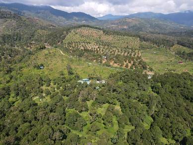 Agricultural-Land-for-sale-Raub-Pahang