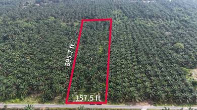 Agricultural-Land-for-sale-Batu-Pahat-Johor