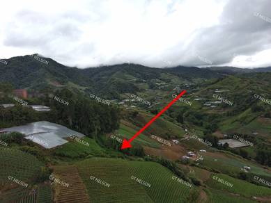 kundasang 0.8acre for sale 200k