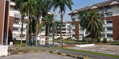 My Place