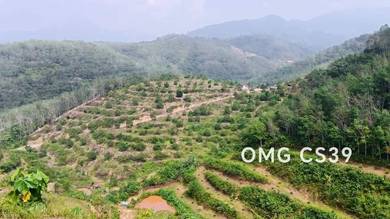Agricultural-Land-for-sale-Jelebu-Negeri-Sembilan