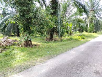 Sijangkang Land  Telok Panglima Garang  📌5 Acres  📌Beside Tar Road