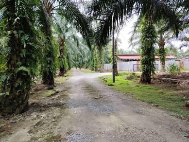 Sungai Buaya  Bandar Land Banting 📌2.66 Acres  📌Freehold