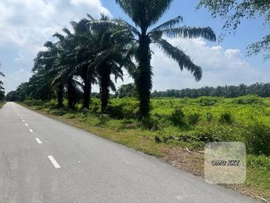 Jeram 5 Acre Industrial Land Good Location Near Main Road Best Buy