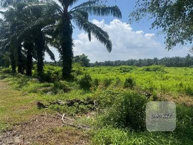 Jeram 5 Acre Industrial Land Good Location Near Main Road Best Buy
