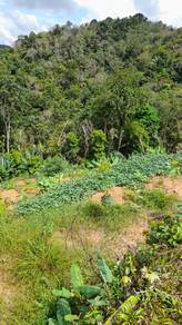 Agricultural-Land-for-sale-Jelebu-Negeri-Sembilan