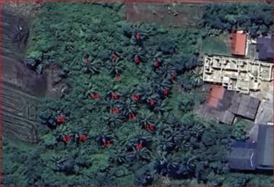 Lot Banglo 7761kp Belakang Masjid KG BANGGOL LEPAH, KETEREH