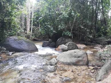 Agricultural-Land-for-sale-Batang-Kali-Selangor
