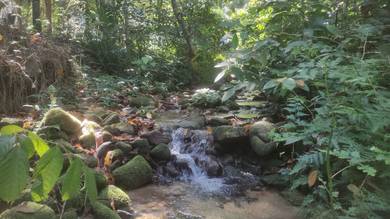 Agricultural-Land-for-sale-Batang-Kali-Selangor