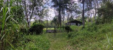 Agricultural-Land-for-sale-Batang-Kali-Selangor