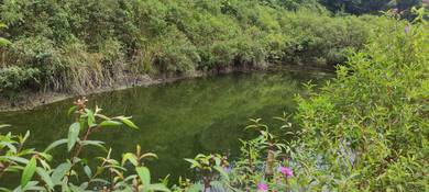 Agricultural-Land-for-sale-Batang-Kali-Selangor