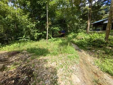 Teluk Kumbar Freehold Durian orchard Land for Sale