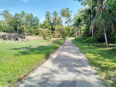 Agricultural-Land-for-sale-Kuala-Ketil-Kedah-3