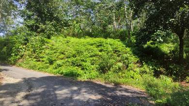 Agricultural-Land-for-sale-Batang-Kali-Selangor
