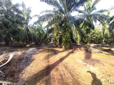 Kanchong Tengah Land  Banting,  📌 * 5.06 acres   📌Freehold