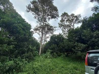 Agricultural-Land-for-sale-Batang-Kali-Selangor