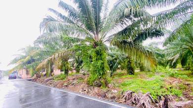 Mukim Kesang, Tangkak, Johor