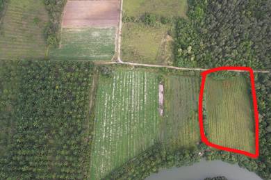 TANAH PERTANIAN UNTUK di JUAL PAUH LIMA,TEMBILA,BESUT