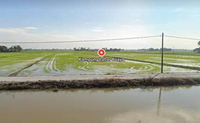 Type: Agricultural Land for Sale Below Market Value – Kota Setar